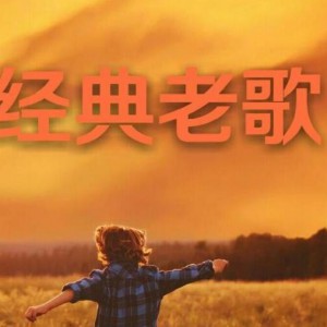 90年代经典华语老歌甄选423首合集（FLAC+高品质MP3）