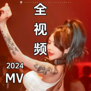 抖音超好听热门车载MV歌曲合集