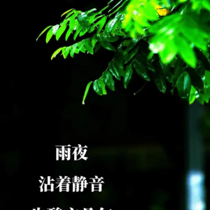 纪钧瀚&贵族音乐《宝宝宁静雨夜·睡眠音乐 (FLAC+MP3) 》