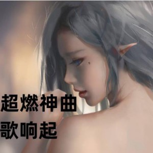 305首超燃神曲合集（国风伤感MC无损音质）