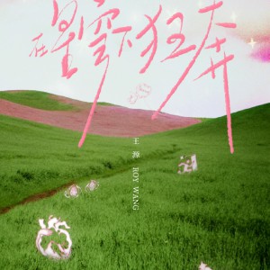 王源《在星穹下狂奔·完整全碟 (MP3+FLAC分轨) 》