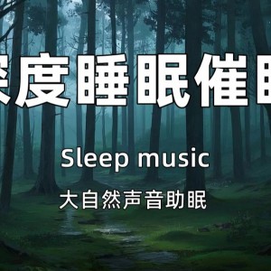 大自然助眠音乐合集