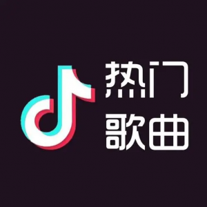 2024最新抖音热歌榜合集