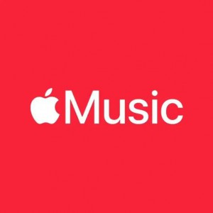 Apple Music 2024韩国歌曲TOP100