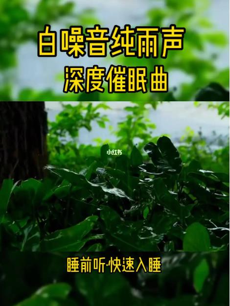 睡眠白噪音音频合集